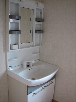 Washroom. Large vanity