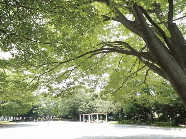 Other. Hauntingly rich green "Yono Central Park" (about 800m ・ A 10-minute walk)