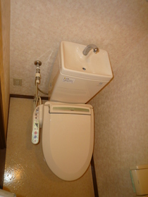 Toilet. It is with warm water washing toilet seat