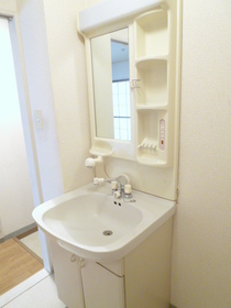 Washroom. Shampoo dresser