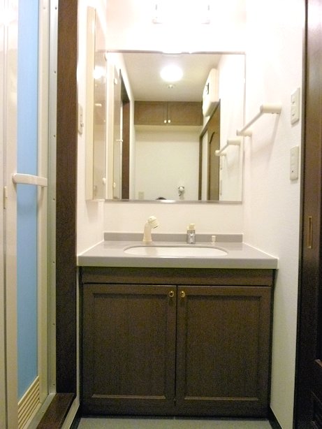 Washroom. Convenient shower Dresser