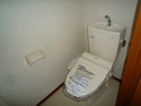 Toilet. With warm water washing toilet seat