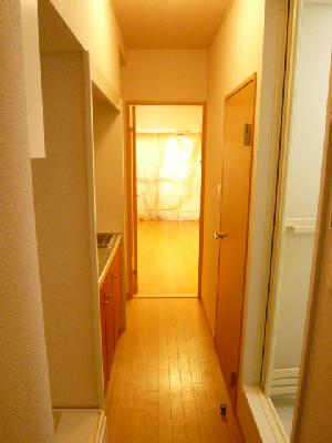 Other. Indoor corridor (entrance → to the room)