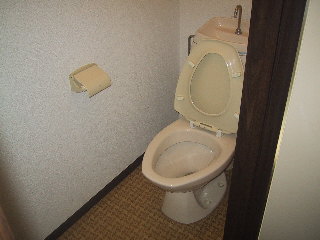 Toilet