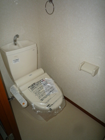 Toilet. With warm water washing toilet seat