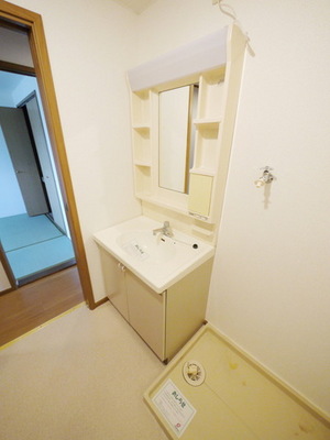 Washroom. Laundry Area and washbasin