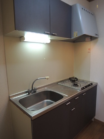 Kitchen. Gas stove two-burner is installed already in the kitchen. 