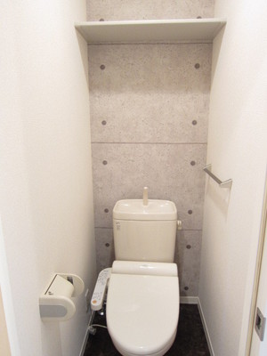 Toilet. There Washlet! Housed in a cupboard is also available!