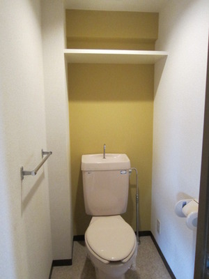 Toilet. It can be stored with the shelf!