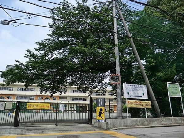 Primary school. 400m until the Saitama Municipal Kamiochiai Small