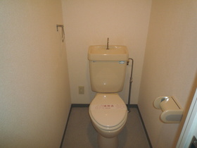 Toilet. There outlet to the toilet