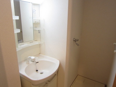 Washroom. Wash basin with a shower is also useful for cleaning