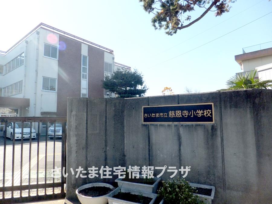 Primary school. For also important environment to 1653m we live until the Saitama Municipal Temple of Great Mercy and Goodness Elementary School, The Company has investigated properly. I will do my best to get rid of your anxiety even a little. 