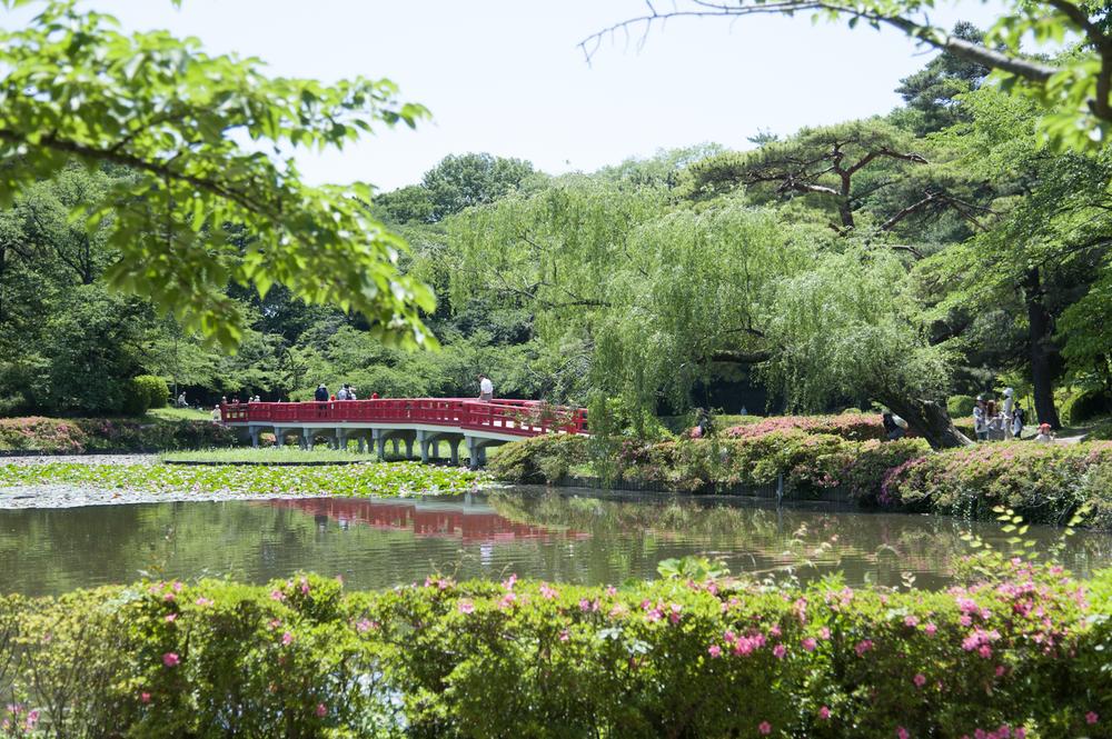 park. Is Iwatsuki Castle Park can enjoy the taste of 300m Iwatsuki to the park.