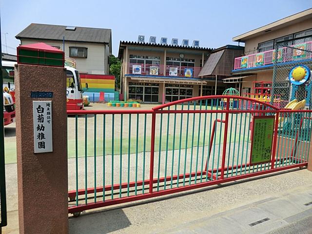 kindergarten ・ Nursery. Shiragiku to kindergarten 229m