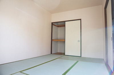 Living and room. A small child's nap time is please with tatami