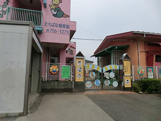 kindergarten ・ Nursery. Tachibana 1342m to nursery school