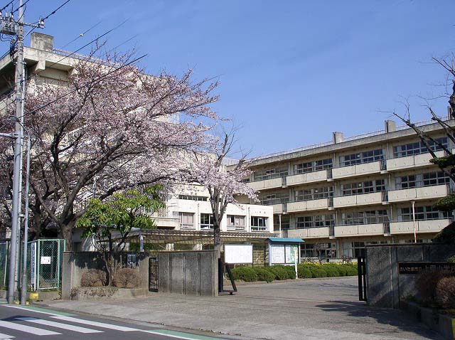 Primary school. 871m until the Saitama Municipal Kamisato elementary school (elementary school)