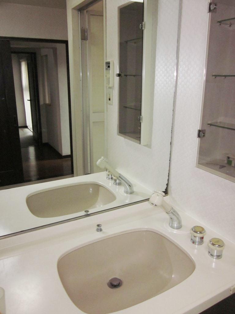 Wash basin, toilet. Bathroom vanity