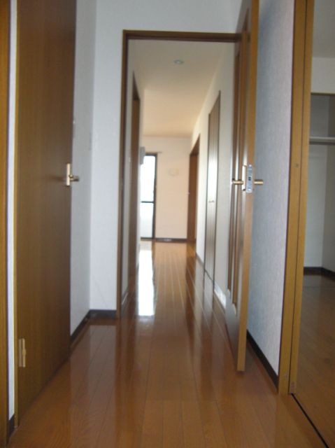 Entrance. Spacious hallway