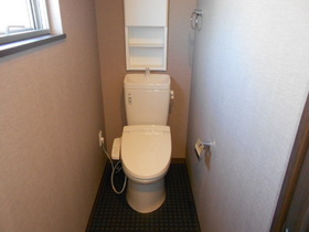 Toilet. With cleaning toilet seat