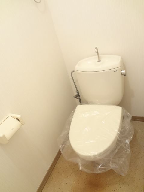 Toilet. It was changed toilet seat. It is beautiful