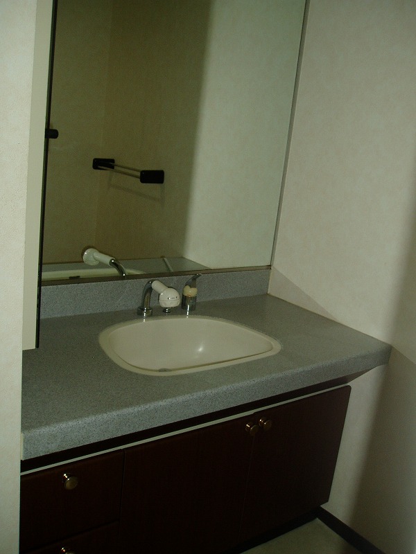 Washroom. Bathroom vanity