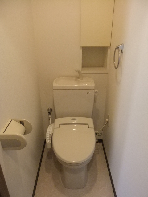 Toilet. Toilet is a new article. 