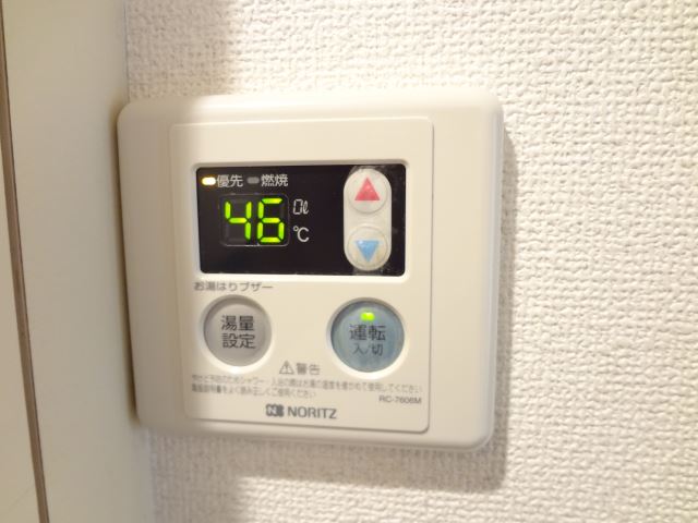 Other. This one also temperature control of hot water. 