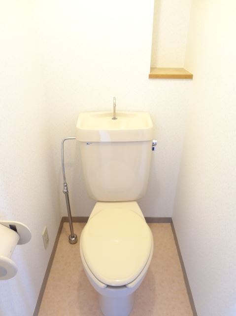 Toilet. Toilets are clean widely.