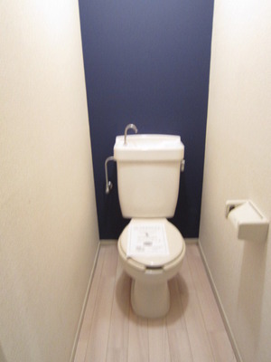 Toilet. It is a toilet with a clean