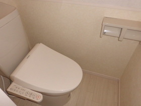 Toilet. With cleaning toilet seat