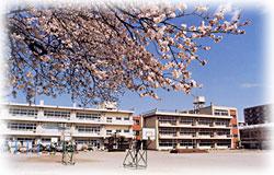 Primary school. 1241m until the Saitama Municipal Miyahara Elementary School