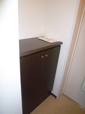 Entrance. Shoe box