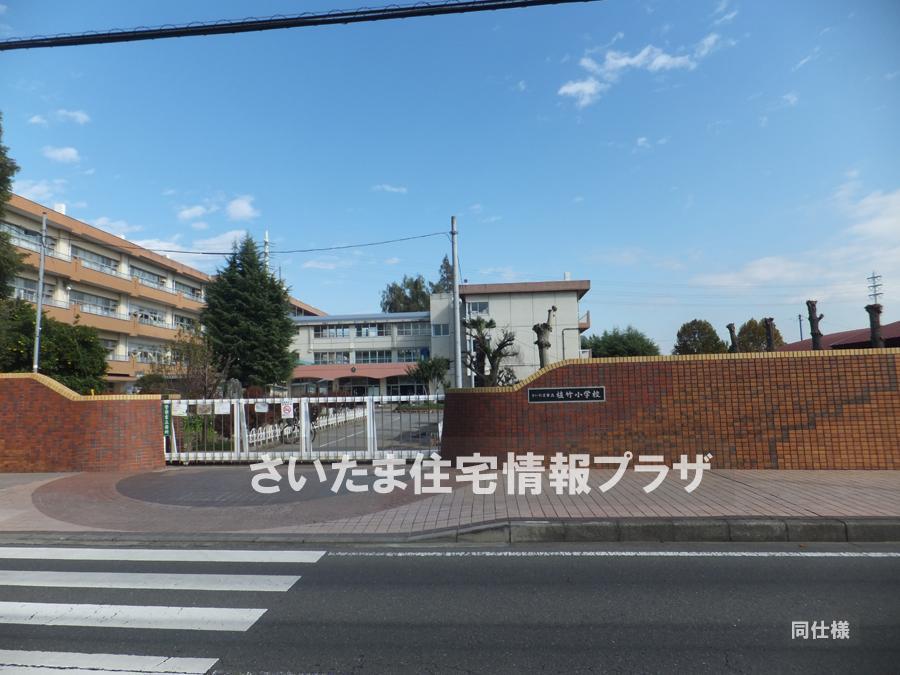 Primary school. For also important environment to 1451m we live until the Saitama Municipal Uetake Elementary School, The Company has investigated properly. I will do my best to get rid of your anxiety even a little. 