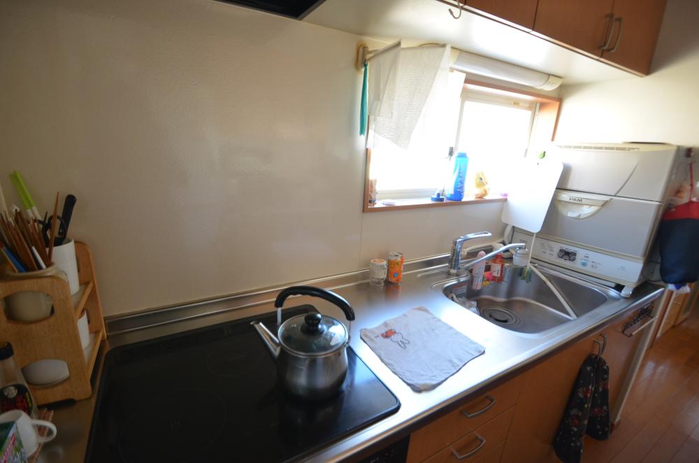 Kitchen. Clean kitchen of IH stove