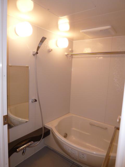 Bathroom. You can comfortably go in large bathtub. With bathroom dryer.