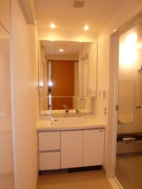 Wash basin, toilet. Storage rich vanity.