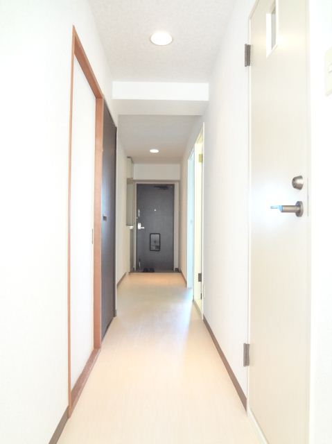 Entrance. It is also a bright hallway to the door