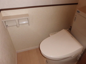 Toilet. It is with cleaning toilet seat. 