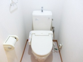 Toilet. With comfortable ass life warm water washing toilet seat