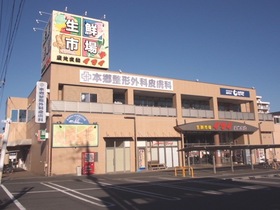 Supermarket. 300m until fresh market Imai (super)