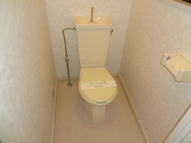 Toilet. Wide toilet