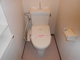 Toilet. With cleaning toilet seat