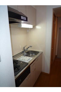 Kitchen. Cooking Easy ・ Two-burner stove system kitchen