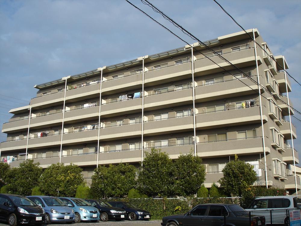 Local appearance photo. Local (12 May 2013) Shooting