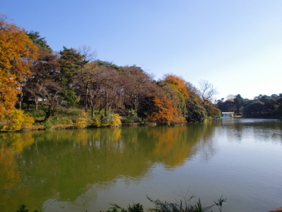 park. 300m to Omiya Park (park)