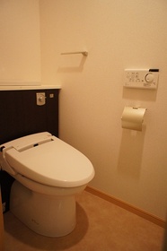 Toilet. With warm water washing toilet seat