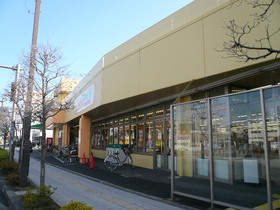 Supermarket. 250m until the Food Garden (super)