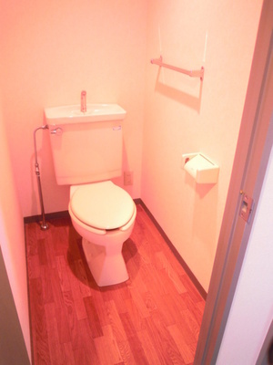 Toilet. Toilet